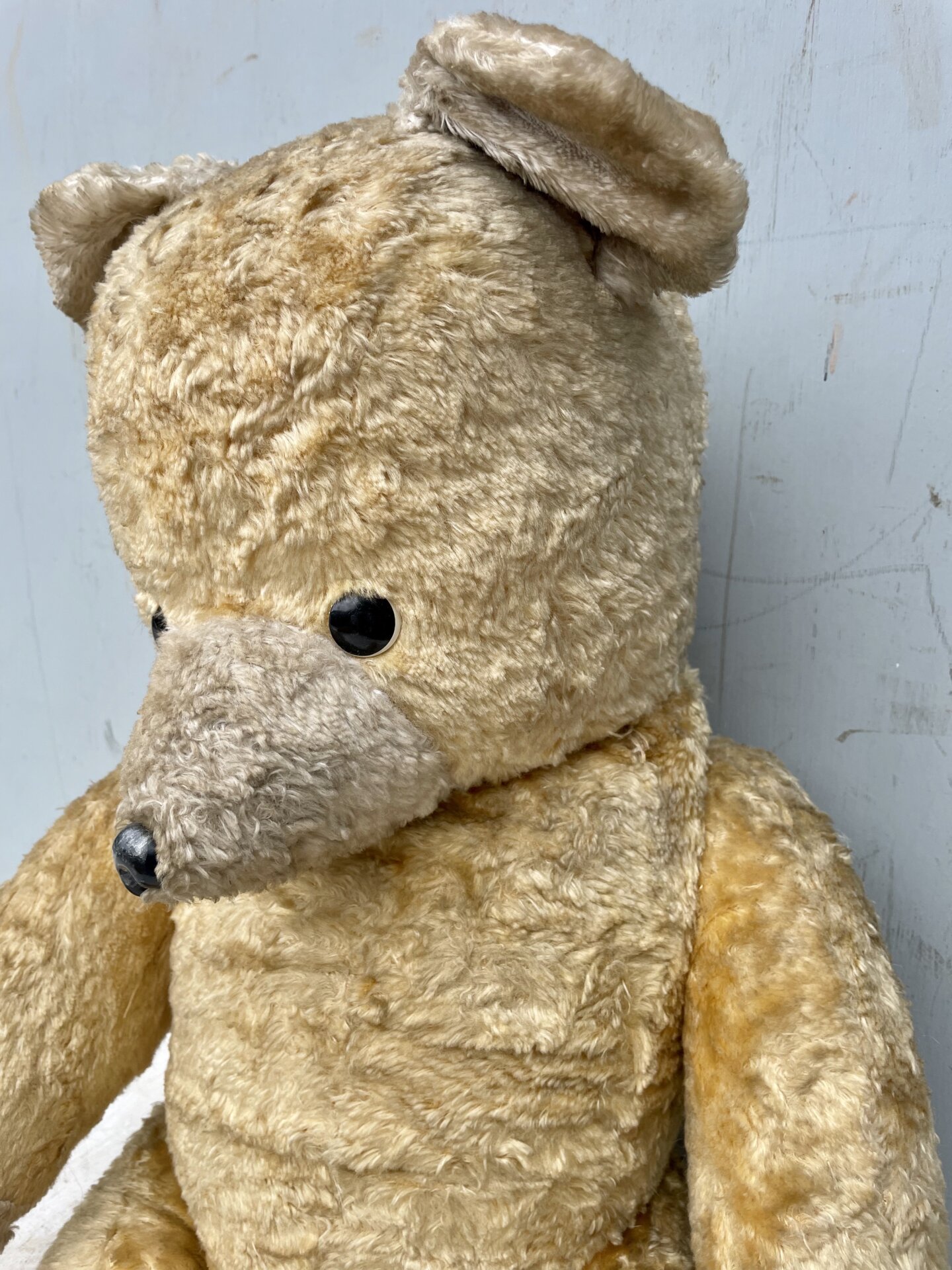 Roman Kangoeroe Dader Oude Teddybeer w – Heydenrijck Wonen